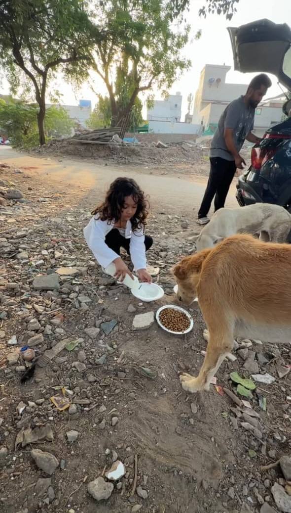 Dog feeding photo 5